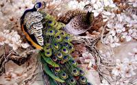 Online jigsaw puzzles birds BigPuzzle.net - free online jigsaw puzzles full screen games! Play free! Bigest online Puzzles with rotation options!