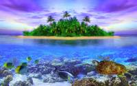 Online jigsaw puzzles underwater BigPuzzle.net - free online jigsaw puzzles full screen games! Play free! Bigest online Puzzles with rotation options!