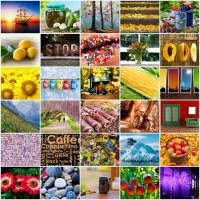 Online jigsaw puzzles macro BigPuzzle.net - free online jigsaw puzzles full screen games! Play free! Bigest online Puzzles with rotation options!