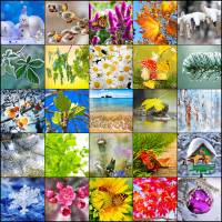 BigPuzzle.net - free online jigsaw puzzles full screen games! Play free! Bigest online Puzzles with rotation options!