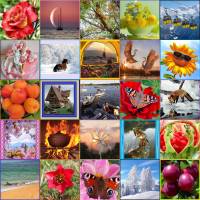 Online jigsaw puzzles photo BigPuzzle.net - free online jigsaw puzzles full screen games! Play free! Bigest online Puzzles with rotation options!