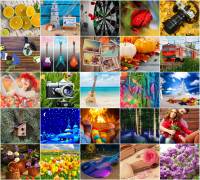 Online jigsaw puzzles macro BigPuzzle.net - free online jigsaw puzzles full screen games! Play free! Bigest online Puzzles with rotation options!