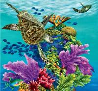 Online jigsaw puzzles underwater BigPuzzle.net - free online jigsaw puzzles full screen games! Play free! Bigest online Puzzles with rotation options!