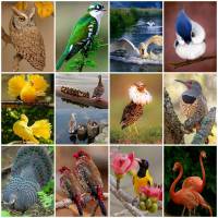 Online jigsaw puzzles birds BigPuzzle.net - free online jigsaw puzzles full screen games! Play free! Bigest online Puzzles with rotation options!