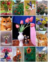 Online jigsaw puzzles cat BigPuzzle.net - free online jigsaw puzzles full screen games! Play free! Bigest online Puzzles with rotation options!