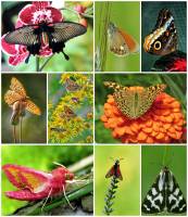 Online jigsaw puzzles nature BigPuzzle.net - free online jigsaw puzzles full screen games! Play free! Bigest online Puzzles with rotation options!