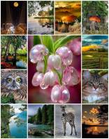 BigPuzzle.net - free online jigsaw puzzles full screen games! Play free! Bigest online Puzzles with rotation options!