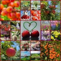 BigPuzzle.ru -  !     !    .     !