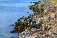   ��������������������.     