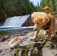   ��������������������.     