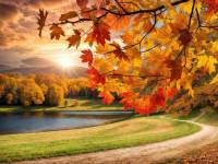   ��������������������.     