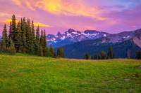   фотография.     