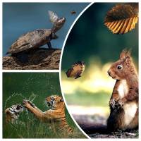   ����������������.     