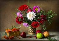   ����������.     