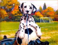   ������������.     