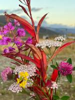 Максимум - 234 кусочков. Пазл онлайн Онлайн пазл