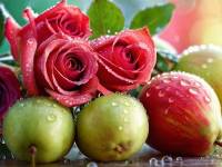 Максимум - 300 кусочков. Пазл онлайн Онлайн пазл