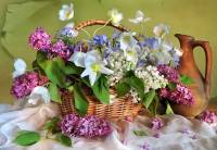   фотография.     