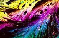 ������ ����