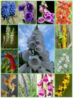 Максимум - 450 кусочков. Пазл онлайн Онлайн пазл