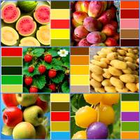 ������ ����� ������������. ������ ��������� � ����� ������