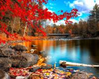 ������ ����� . ������ ��������� � ����� ������