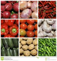 ������ ����� . ������ ��������� � ����� ������