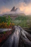 ������ ����� пейзаж. ������ ��������� � ����� ������