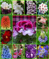 ������ ����� . ������ ��������� � ����� ������