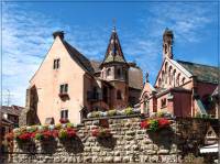 ������ ����