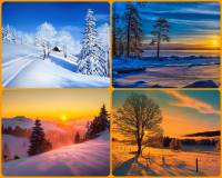 ������ ����� . ������ ��������� � ����� ������