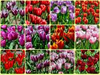 ������ ����� . ������ ��������� � ����� ������