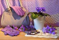 ������ ����� натюрморт. ������ ��������� � ����� ������