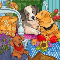 ������ ����