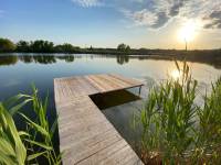 ������ ����