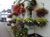 ������ ����� . ������ ��������� � ����� ������