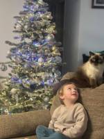 ������ ����� кошка. ������ ��������� � ����� ������