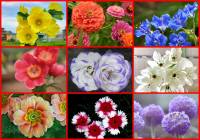 ������ ����� ��������������������. ������ ��������� � ����� ������