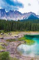 ������ ����