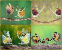 ������ ����� . ������ ��������� � ����� ������