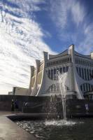 ������ ����