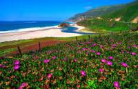 ������ ����� . ������ ��������� � ����� ������