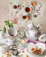 ������ ����� . ������ ��������� � ����� ������