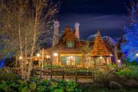 ������ ����� . ������ ��������� � ����� ������