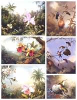 ������ ����� ������������. ������ ��������� � ����� ������