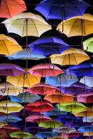 ������ � �����! �������� ���� �� ���� ��������!