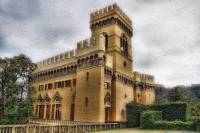 ������ ����