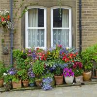 ������ ����� город. ������ ��������� � ����� ������