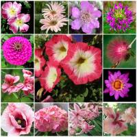 ������ ����� . ������ ��������� � ����� ������