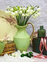 ������ ����